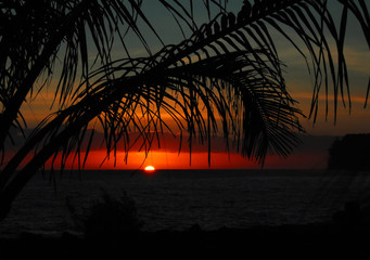 【升学历的正规机构有哪些,自己怎么提升学历】