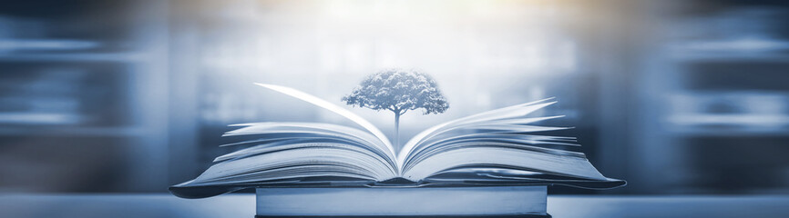 云南招考网录取查询/云南招生考试官网频道查录取