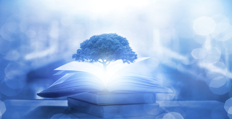 ynzscn云南招生网站（ynzscn云南招生网站官网）