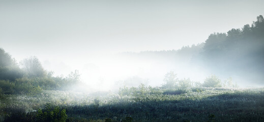 四川高考教育考试院官网/四川高考考试网官网