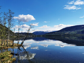 ynzscn云南招生网站（ynzscn云南招生网站官网）