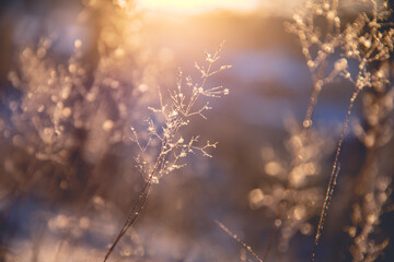 2022年高考语文作文满分范文（2022年高考语文作文满分范文大全）