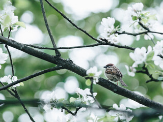 ynzscn云南招生网站（ynzscn云南招生网站官网）