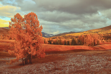 学士学位和本科的区别/学士学位和本科一样吗