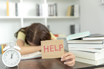 学士学位和本科的区别/学士学位和本科一样吗