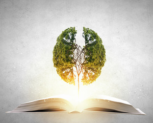 河南教师资格网官网/河南省教师资格网官网报名