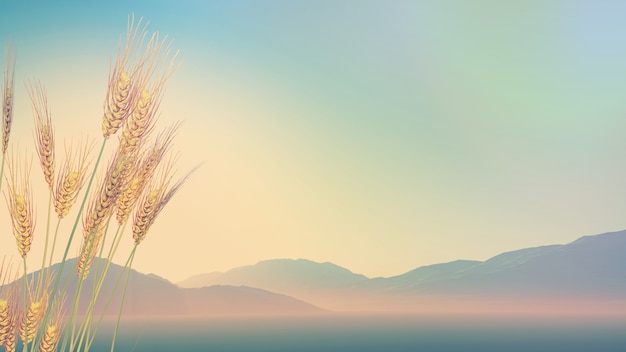 安徽省考成绩排名/安徽省考成绩排名系统