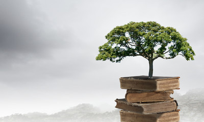 云南招考网录取查询/云南招生考试官网频道查录取