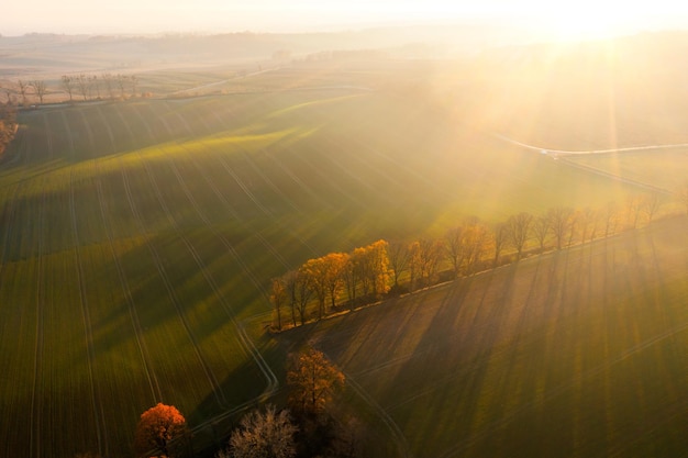 安徽省考成绩排名/安徽省考成绩排名系统
