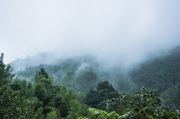 学士学位和本科的区别/学士学位和本科一样吗